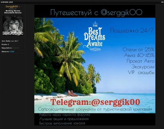 travel-offerings-dark-web.jpg travel-offerings-dark-web.jpg