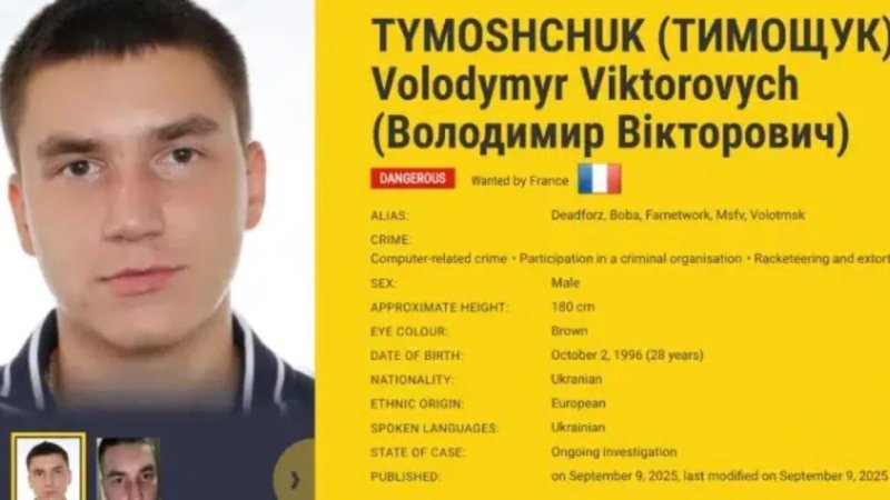 tymo.jpg tymo.jpg