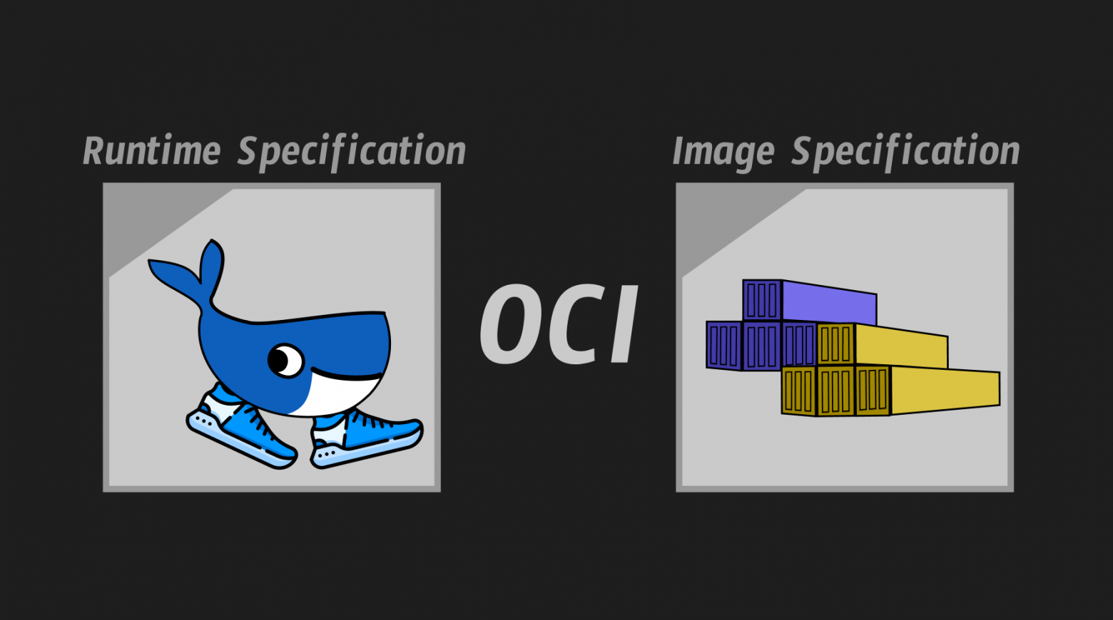 zzdklqwtvbjg6ykm-ypmfdxh104.png
