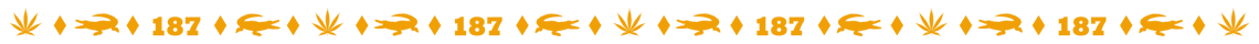 6bA1xLC.png